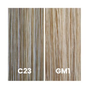 Color_C23-GM1